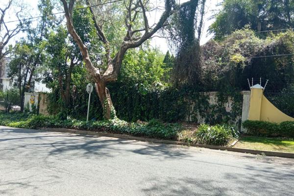 Negotiate for this great position in this vibrant and popular precinct, one off Jan Smuts Avenue
Zoning Res 4
A second property (Bus 1 ...