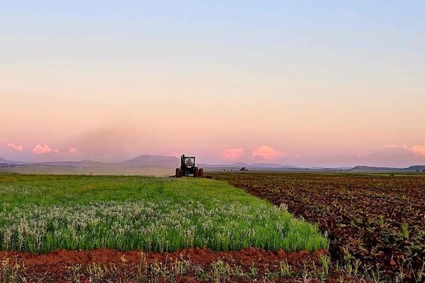 Surely an outstanding piece of land in the heart of our country.
A total of 3463ha neighboring farms are not always available.
It is ...