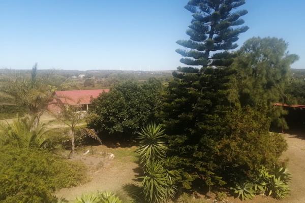 This farm is situated next to the R102 just outside Jeffreys Bay and near Port Elizabeth.
The 387 m&#178; face brick house comprises ...