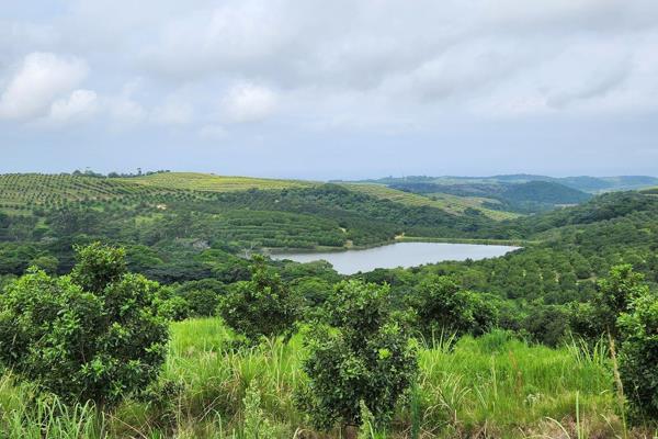 166.9ha Macadamia/Sugar Farm - Ifafa KZN South Coast

This family run farm was purchased in 1999 as a sugar farm. Over the years it ...