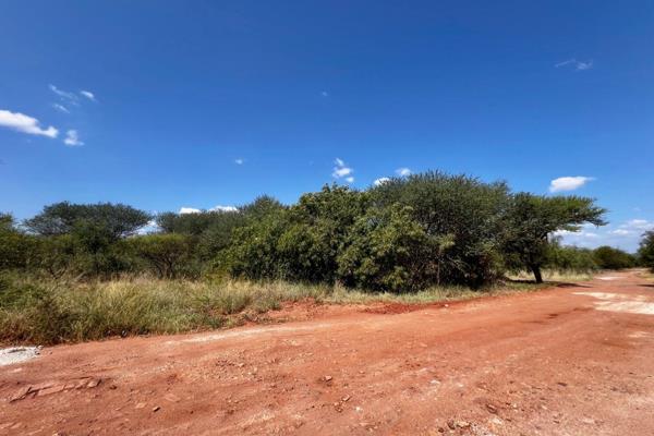 Vacant Stand for sale in Eco Estate close to Thabazimbi
Build your dream home in this Eco Estate.
Wildlife is on your doorstep and ...