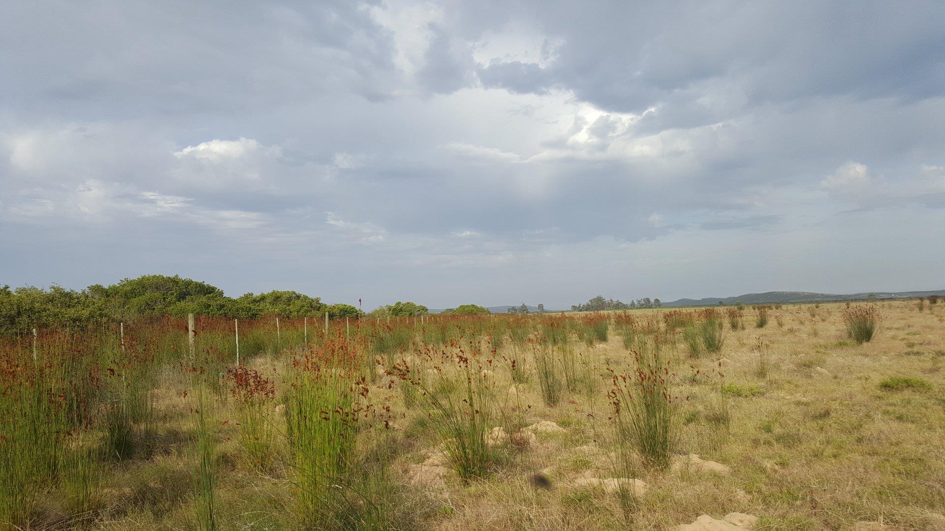 Photo of Farm for sale in Riversdale Rural