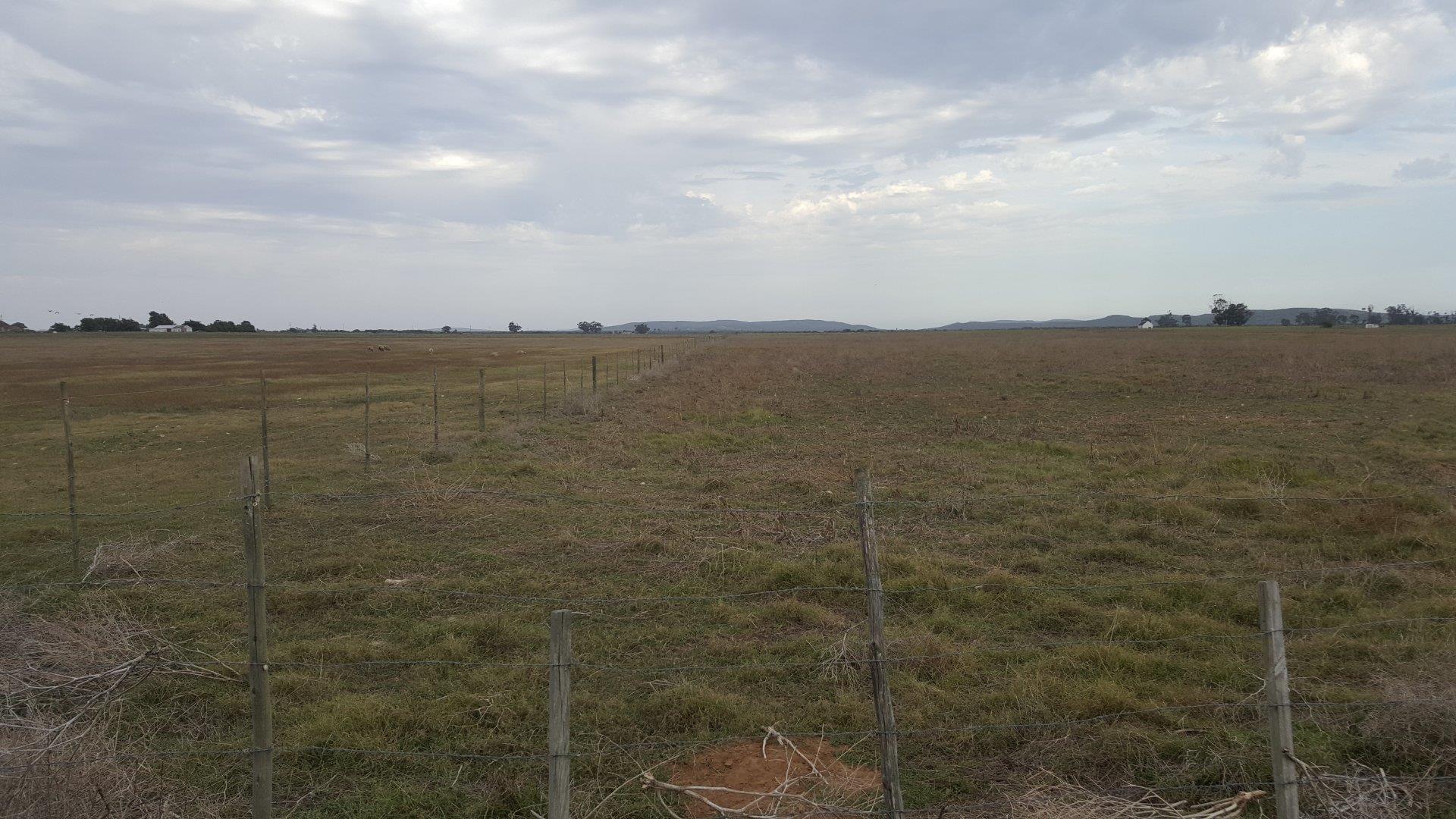 Photo of Farm for sale in Riversdale Rural