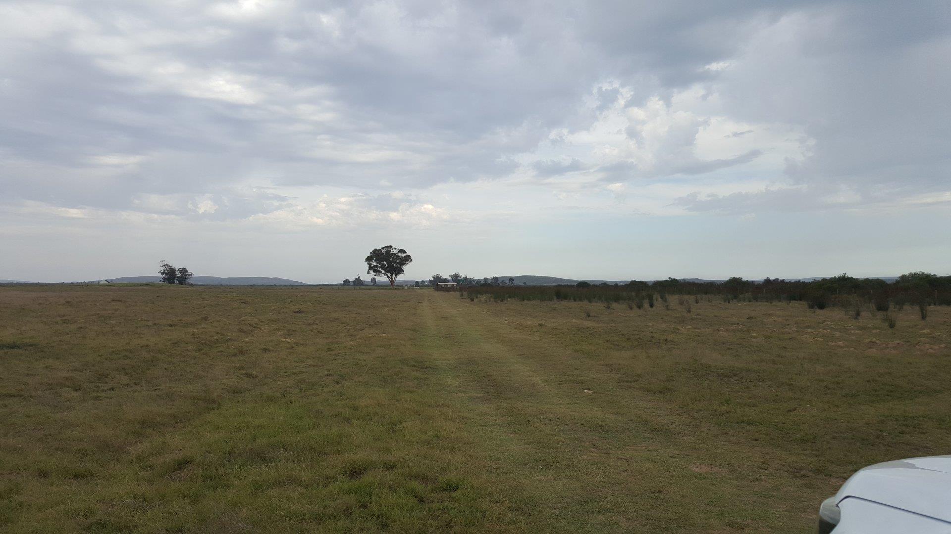 Farm for sale in Riversdale Rural