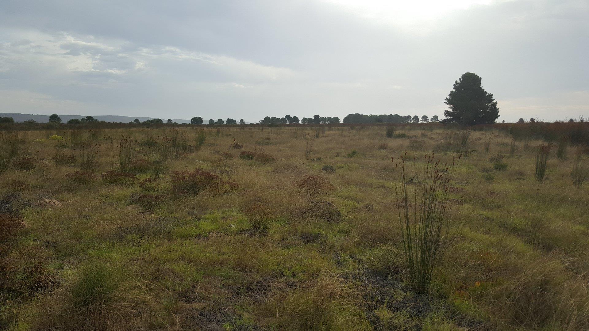 Photo of Farm for sale in Riversdale Rural