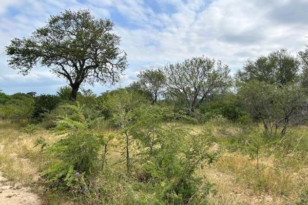 Vacant Stand 0.9245 ha r892 500.00 EXCL VAT 

Discover the exclusive allure of Moditlo ...