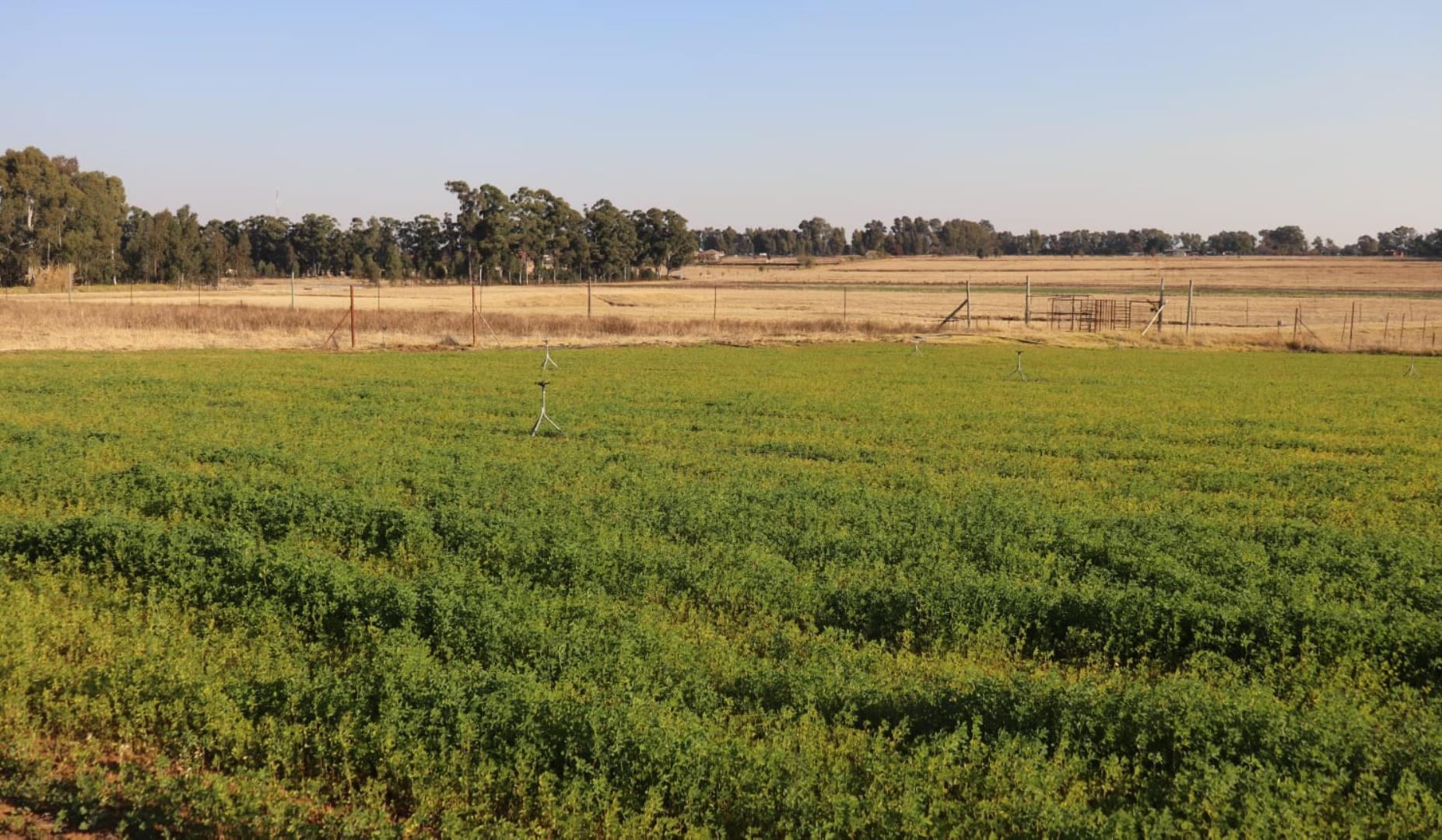 Farm for sale in Zesfontein AH - P24-114197966