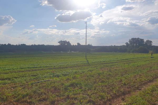 This farm has a rental income and ideal to farm with livestock and vegetables.
12.8 ha under irrigation directly from the river with ...