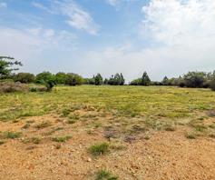 Vacant Land / Plot for sale in Blue Hills Equestrian Estate