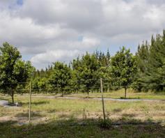 Farm for sale in Oribi Flats