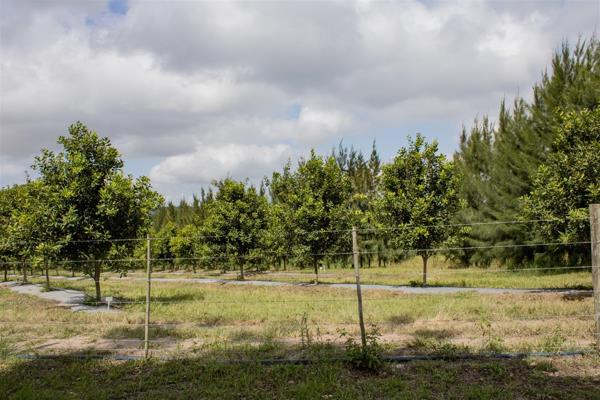 This Oribi Gorge farm stands guardian to one of the most phenomenal natural paradises in South Africa. It offers and generates a ...