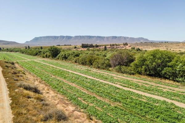 Nestled along the N7 highway between Klawer and Trawal, this expansive 128ha irrigation farm offers a picturesque setting for ...