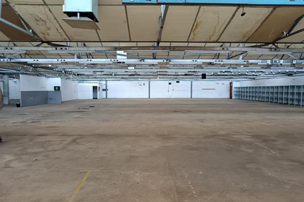 This free-standing single storey building on a 2 800m2 erf offers:
•	2 000m2 under-roof ...