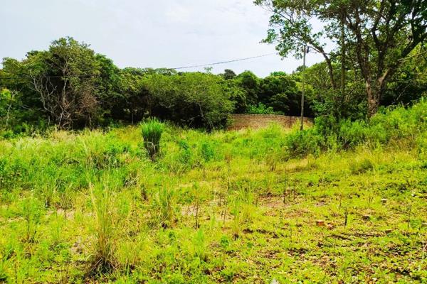 This magnificent piece of land is priced well.  It is more spacious than average ...