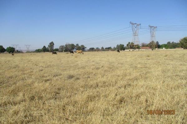 Farm for sale -In Naauwpoort, Emalahleni, Witbank, Mpumalanga	

Witbank delight- a ...