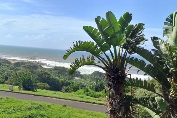 If your dream home was a beach front property, then this would be it. This stand comes with a spectacular view of the crashing waves ...