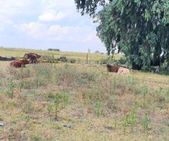 Farm for sale in Rietfontein AH