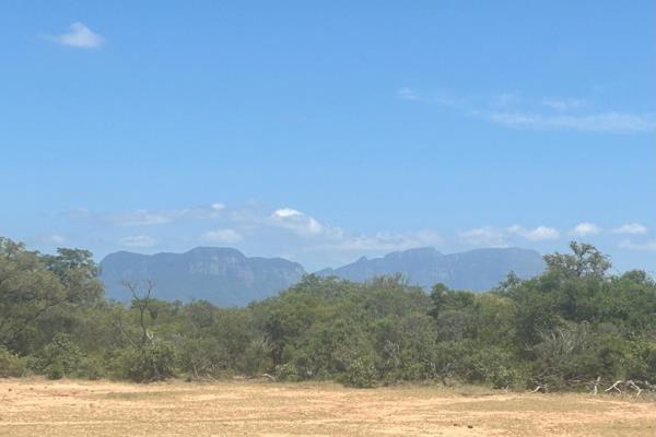 One of the last riverbed stands, this lovely stand faces a seasonal riverbed and is situated on the Farm Morea of this very popular Big ...