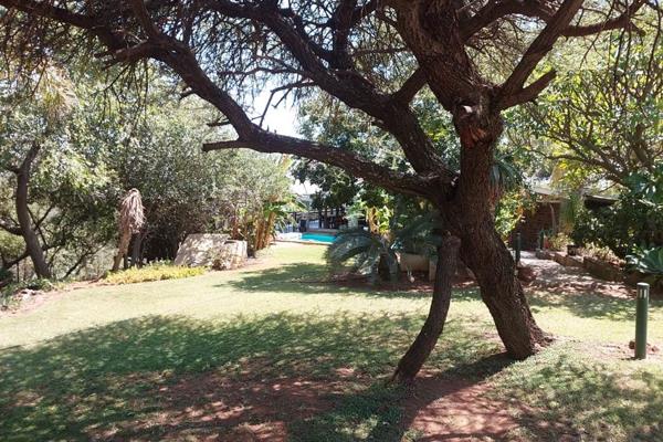 Game Farm For Sale In Groot Marico 
Located between the charming towns of the history rich Groot Marico and Zeerust, this expansive ...