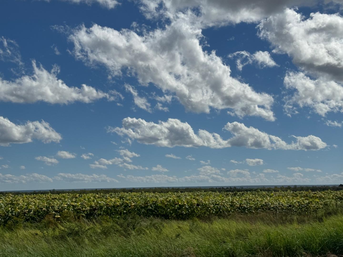 Farm for sale in Magogong - P24-114242924