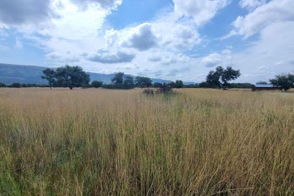 Vacant 2.5 HA land, flat ground, no hills, and minimal bush. 

Perfect to build your dream house and to develop to farm with ...