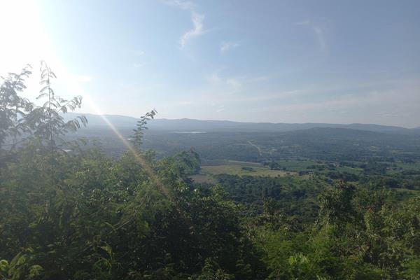 Farm for Sale near Tzaneen!

This 23,8 Ha farm has a spectacular view over the town ,Tzaneen Dam and mountains, and is only 7km from ...