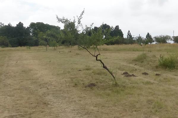 This vacant land in the prime area of Chartwell next to the Chartwell Castle has 3.96 ...