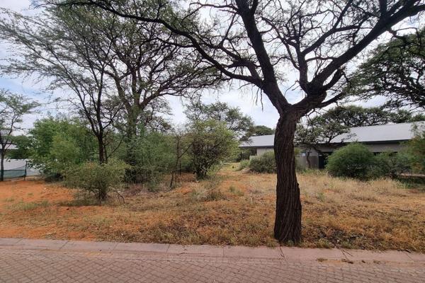 This plot of 1045m2 is ideally located in one of the sought after streets in the Kalahari Golf Jag Estate.  This plot has stunning ...