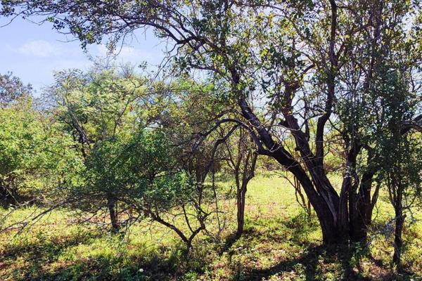 Exclusive mandate!

This pristine stand offers approximately 2560m2 of pure opportunity. It is located in central Marloth Park, on ...