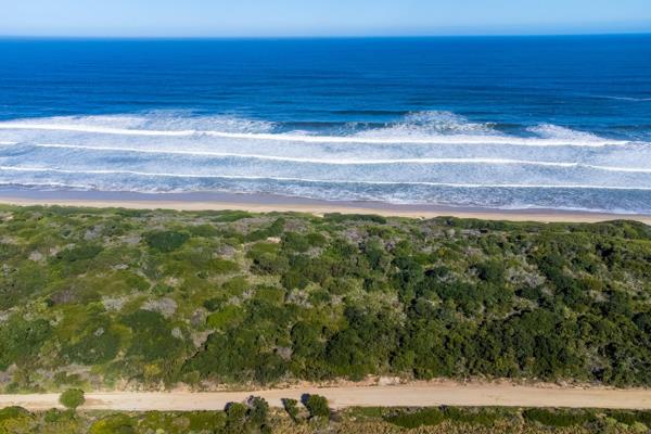 Imagine waking up to the sound of waves crashing against the shore and the salty breeze ...