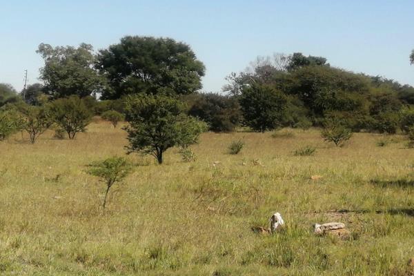 8,5 Ha Bushveld property in the Haakdoornboom area, North of Pretoria.
This property is near Onderstepoort facilities.
A farming area ...