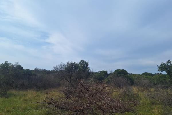 A beautiful Land/plot where you can expore your dreams, Nestled within the residential/commercial on R72 ,in the surroundings of  ...