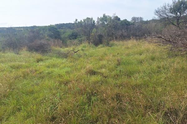 A beautiful Land/plot where you can expore your dreams, Nestled within the residential/commercial on R72 ,in the surroundings of  ...