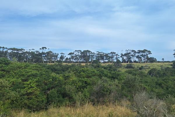 A beautiful Land/plot where you can expore your dreams, Nestled within the residential/commercial on R72 ,in the surroundings of  ...