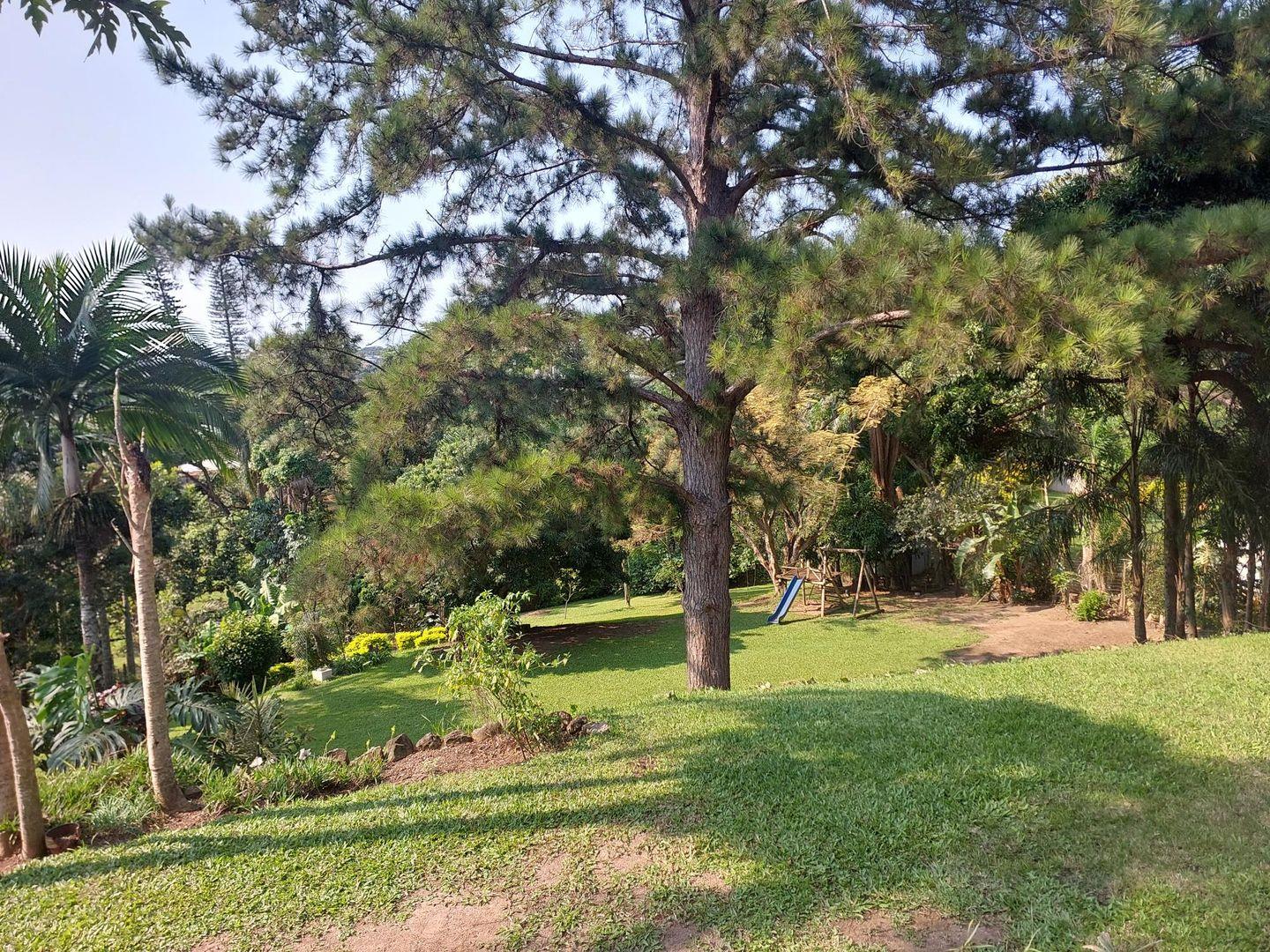 3 Bedroom House for sale in Berea West P24114286120