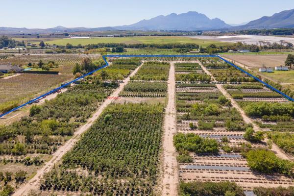 Smallholding for Sale located in the Stellenbosch Golden Triangle

EXTRAS:
4 Boreholes (+/-9 000L/H)
2 Hectare Water Usage rights ...