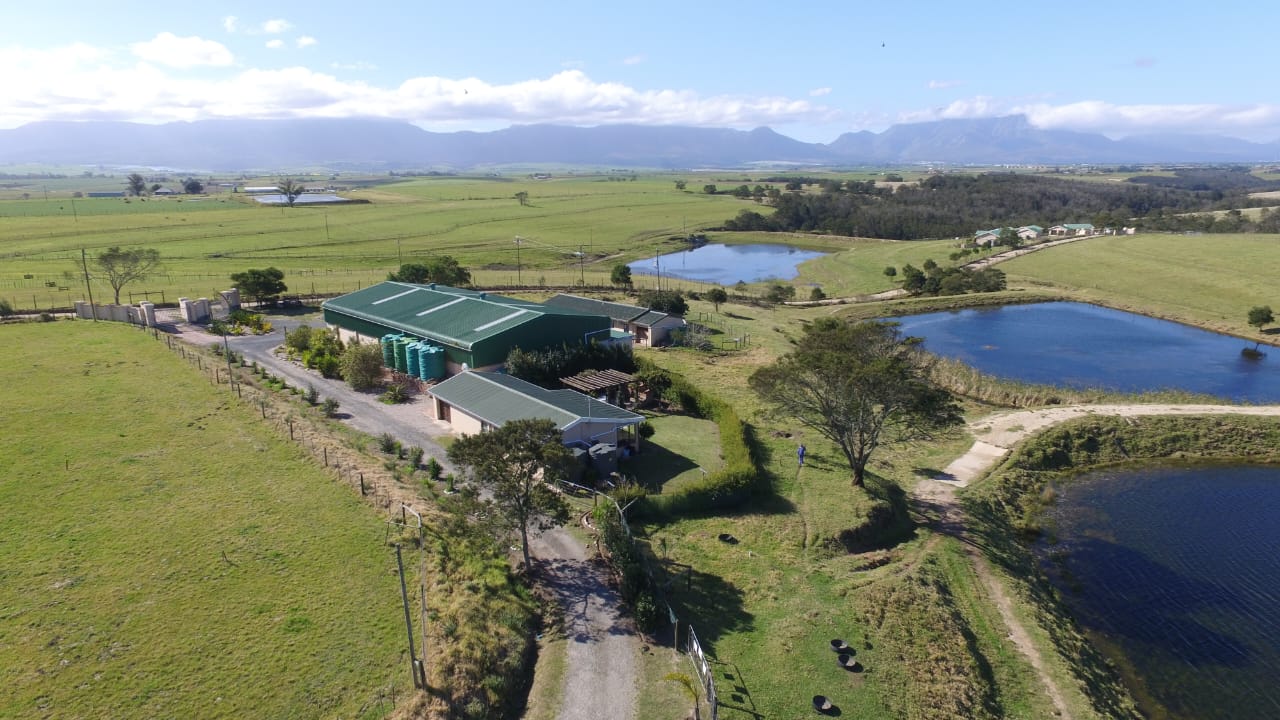 Photo of Farm for sale in Glentana