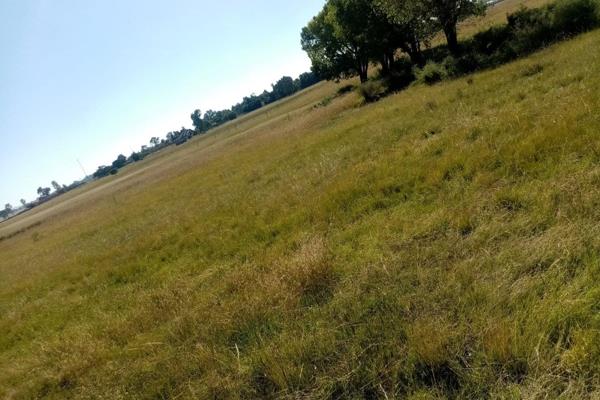 Vacant land for sale .

9841 sqm . No municipal power or water .

Agricultural opportunity .

Call Ann for more information .