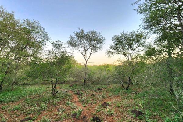 Escape to your own slice of wildlife paradise with this stunning property nestled in the heart of nature. Here, you can truly ...