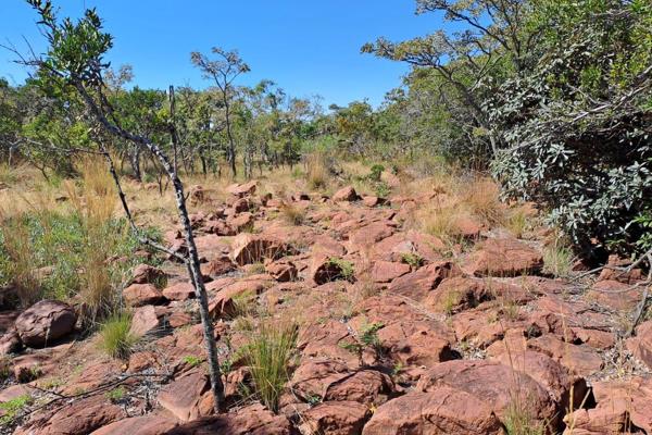 Lovely vacant stand in a more secluded part of Leopards Rock Country Estate. Only 1&#189; hours from Pretoria, situated between Bela ...