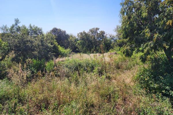 Stand for sale in a country life style estate!

Transfer duty payable

vacant land: 5008 ...