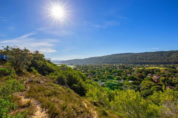 Large 1908sqm vacant stand offering uninterrupted views from the valley and the lagoon in Sedgefield.

Position is everything and this ...