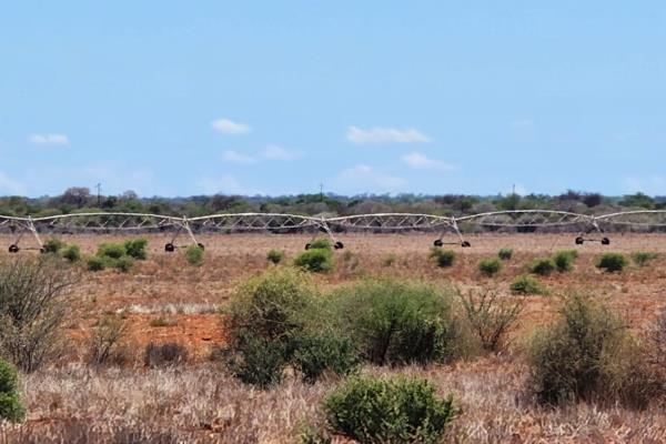 These arable &amp; grazing farms are situated in the Lephalale District, will be sold as ...