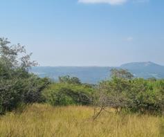 Vacant Land / Plot for sale in Likweti Bushveld Farm Estate