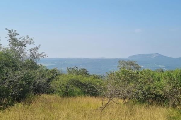 This stunning Northeastern facing 1 Ha stand in Likweti Hills (phase 1) boasts uninterrupted views over rolling hills, pristine bush ...