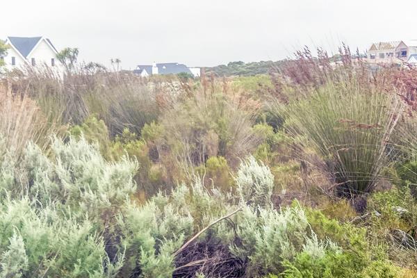 If privacy is your thing - then this is the stand for you. This piece of land borders on the reserve area towards the west of the ...