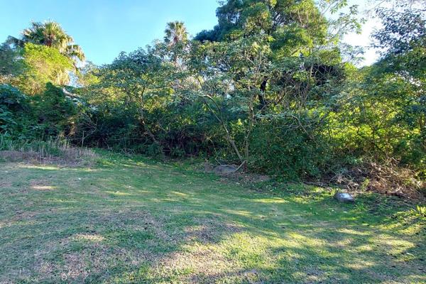 This lush plot offers a blank canvas for your dream home. Imagine designing your oasis in this peaceful neighbourhood. With ample ...