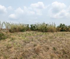 Vacant Land / Plot for sale in Blue Valley Golf Estate