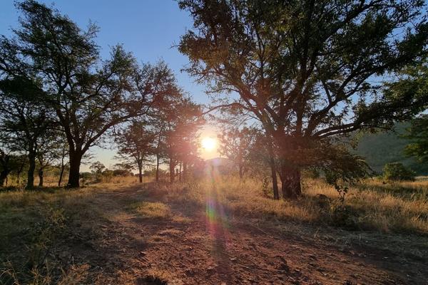 Discover tranquility in the heart of the bushveld with this expansive 2372m&#178; stand, ideally located within the picturesque ...
