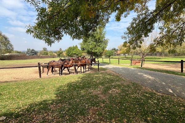 This 2 Bedroom house with 12 stables in Randjesfontein Country Estate is an interesting ...